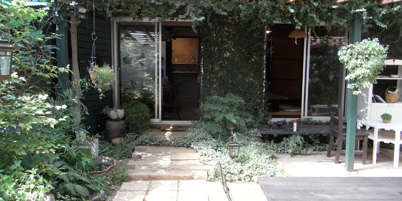 kazekusa_2010.jpg